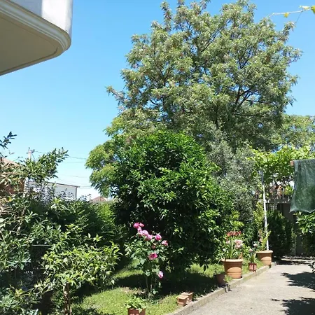 Serenity's Sunset Terrace * Shkodra