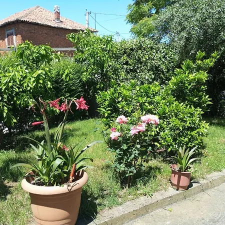 Serenity's Sunset Terrace Shkodra