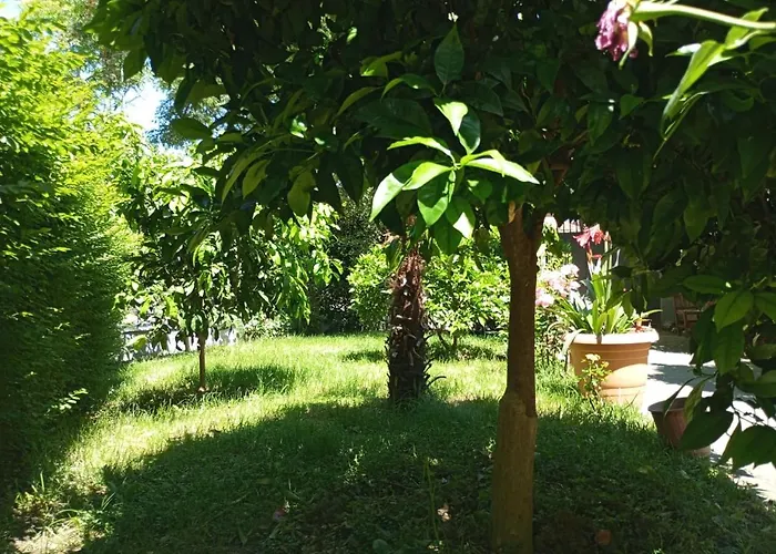 Serenity's Sunset Terrace Shkodra