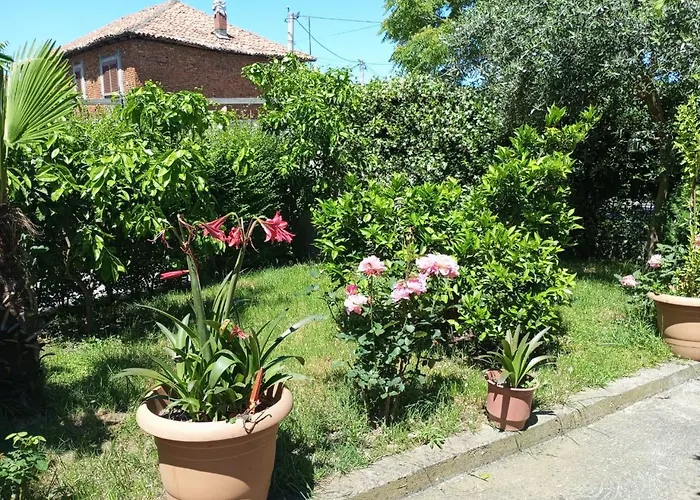 Serenity's Sunset Terrace Shkodër